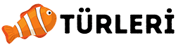 koyu renk logo
