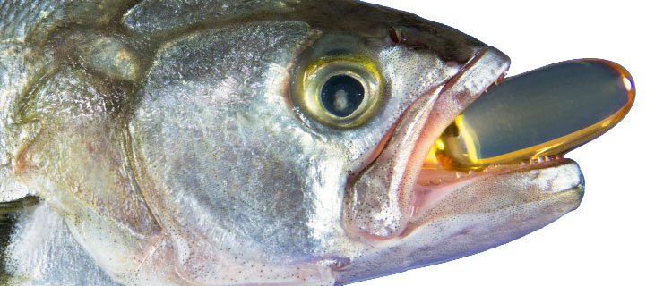 IFOS onaylı balık yağı markaları
